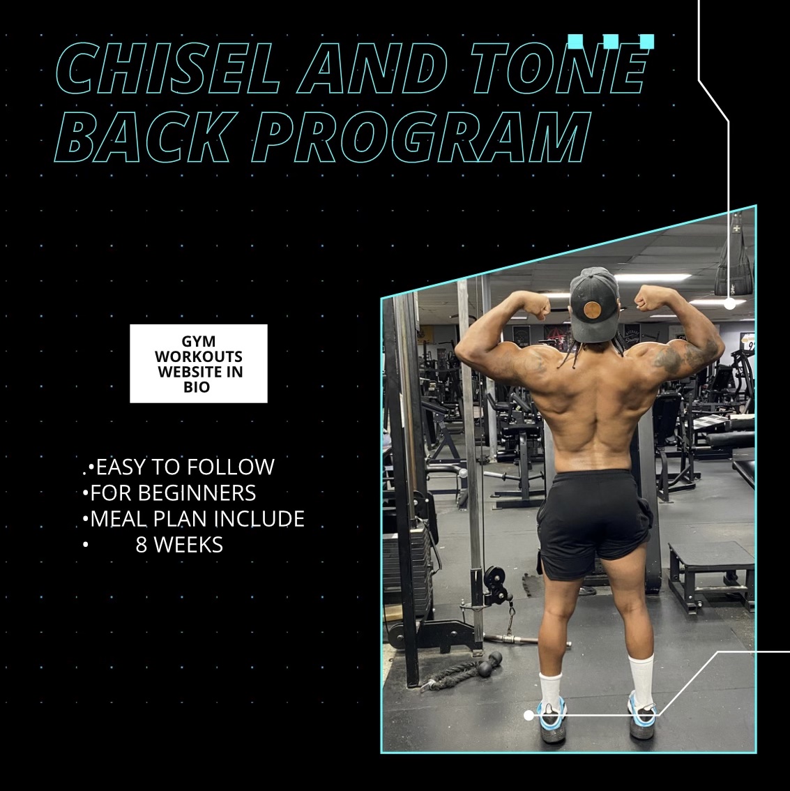 Chisel & Tone Back – Terry Dixon Fitness